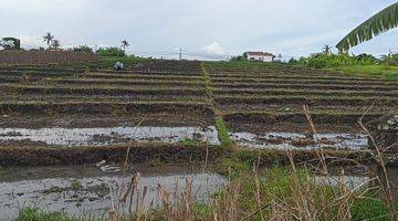 Gambar 2 Dijual Tanah 4,2are Kecil Langka @Kelating, Tabanan, Bali