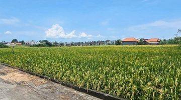 Gambar 5 Disewakan Tanah 25are Dekat Pantai @cemagi, Bali