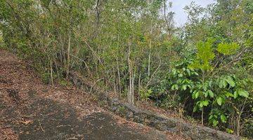 Gambar 4 Ocean view Land For Lease Near Melasti Beach