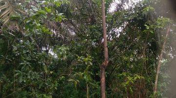 Gambar 5 DIJUAL TANAH (PEKARANGAN/KEBUN SAWIT, KARET, DURIAN DLL)