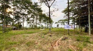 Gambar 1 TANAH PREMIUM LOKASI STRATEGIS DI DEKAT GERBANG TOL PALINDRA KERTAPATI PALEMBANG