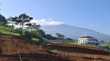 Gambar 5 Tanah di Jln alternatif taman safari puncak bogor, Puncak