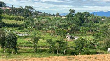 Gambar 1 Tanah Di Jln Alternatif Taman Safari Bumi Citeko Puncak Bogor