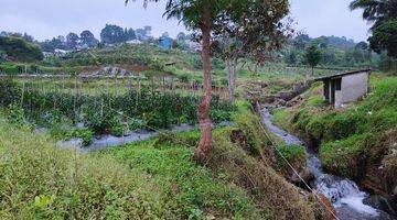 Gambar 4 Tanah Di Jln Alternatif Taman Safari Bumi Citeko Puncak Bogor