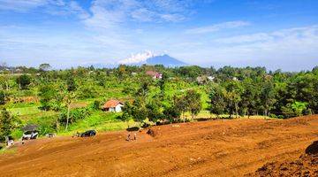 Gambar 5 Tanah Di Jln Alternatif Taman Safari Bumi Citeko Puncak Bogor