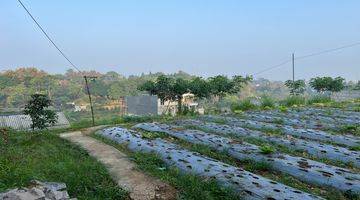 Gambar 4 Tanah Dingin Shm Puncak Bogor Megamendung 1500m