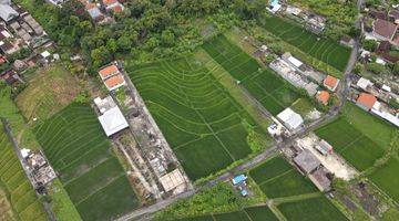 Gambar 3 Tanah Di Sewakan 1 Hectare Di Kerobokan