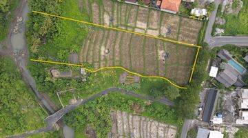 Gambar 3 For Lease Premium land, Seseh Canggu Tanah