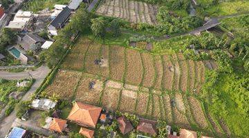 Gambar 4 For Lease Premium land, Seseh Canggu Tanah