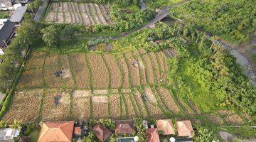 Gambar 5 For Lease Premium land, Seseh Canggu Tanah