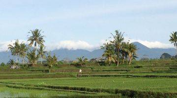 Gambar 5 Di Jual Tanah 4 Hectare Di ubud