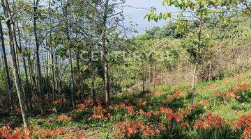 Gambar 1 Tanah Lok Jelekong-Arjasari, Tenang, View Bagus, Akses Mobil