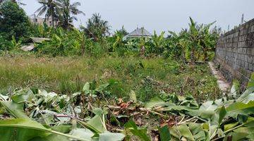 Gambar 4 Sewa Jangka Panjang Saba Blahbatu Gianyar Bali Indonesia 