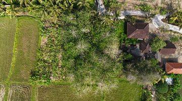 Gambar 5 Jual Tanah View Sawah Abadi Ubud Gianyar Bali Indonesia 