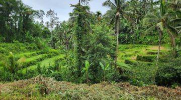 Gambar 1 Jual Tanah View Sawah Dan Hutan Ubud Gianyar Bali Indonesia 