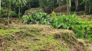 Gambar 3 Jual Tanah View Sawah Dan Hutan Ubud Gianyar Bali Indonesia 