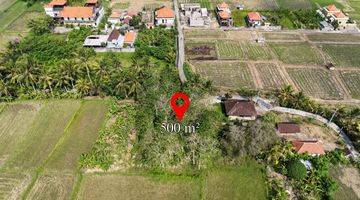 Gambar 1 Jual Tanah View Sawah Abadi Ubud Gianyar Bali Indonesia 