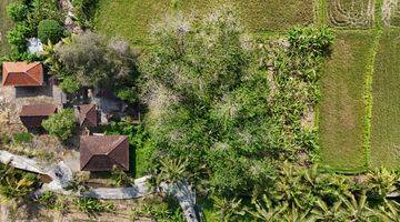 Gambar 4 Jual Tanah View Sawah Abadi Ubud Gianyar Bali Indonesia 