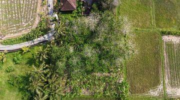 Gambar 3 Jual Tanah View Sawah Abadi Ubud Gianyar Bali Indonesia 