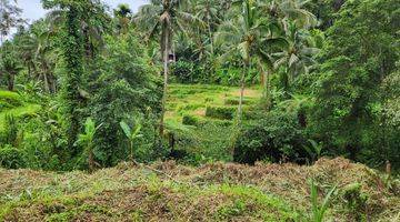 Gambar 4 Jual Tanah View Sawah Dan Hutan Ubud Gianyar Bali Indonesia 