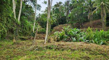 Gambar 2 Jual Tanah View Sawah Dan Hutan Ubud Gianyar Bali Indonesia 