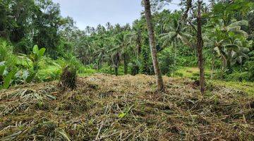 Gambar 5 Jual Tanah View Sawah Dan Hutan Ubud Gianyar Bali Indonesia 