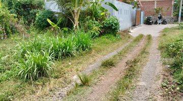 Gambar 1 Sewa Jangka Panjang Saba Blahbatu Gianyar Bali Indonesia 