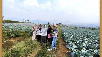 Gambar 2 Tanah Murah Puncak Cipanas Pilihan Investor Cerdas