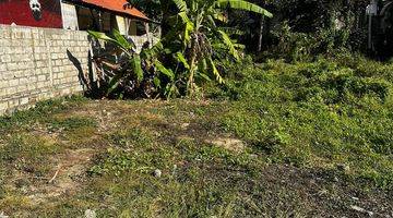 Gambar 3 Land 360sqm For Lease Hold In Padonan Canggu