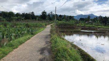 Gambar 1 Tanah Murah View Pegunungan di Wisata Pamijahan cocok untuk Villa, Kebun, Peternakan, atau Cluster Kecil.
cuman 250rb/metr Nego