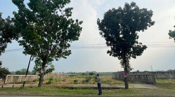 Gambar 5 Tanah siap bangun khusus industri 5 menit dari pintu tol Ujung jaya Sumedang