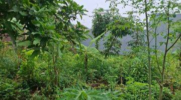 Gambar 3 W125 Tanah di Bukit Dieng Dekat Ub Kedokteran Malang