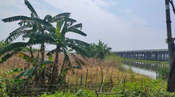 Gambar 5 Dijual Lahan Murah Dekat Tol Demak Bebas Banjir