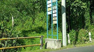 Gambar 4 FOR SALE MAIN ROAD LAND & RIVERSIDE IN UBUD (PRICE UNDER MARKET)