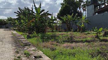 Gambar 1 LAND FOR SALE ABASAN - CANGGU 10,5 ARA