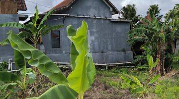 Gambar 5 LAND FOR SALE ABASAN - CANGGU 10,5 ARA