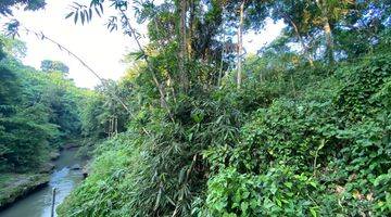 Gambar 2 LEASE HOLD LAND AT KABA KABA, NYAMBU - JUNGLE AND RIVER VIEW 45 ARA