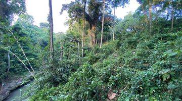 Gambar 3 LEASE HOLD LAND AT KABA KABA, NYAMBU - JUNGLE AND RIVER VIEW 45 ARA