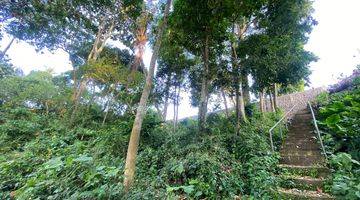 Gambar 4 LEASE HOLD LAND AT KABA KABA, NYAMBU - JUNGLE AND RIVER VIEW 45 ARA