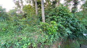 Gambar 5 LEASE HOLD LAND AT KABA KABA, NYAMBU - JUNGLE AND RIVER VIEW 45 ARA