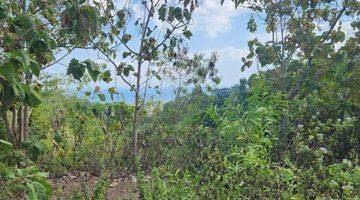 Gambar 3 LAND FOR LEASE AT LABUAN SAIT, PECATU 1,55 hectare