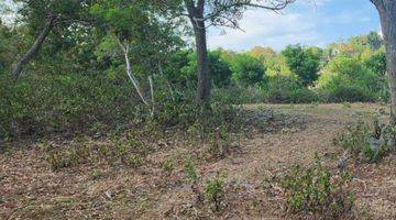 Gambar 5 LAND FOR LEASE AT LABUAN SAIT, PECATU 1,55 hectare