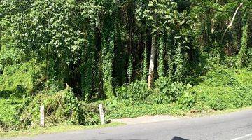 Gambar 5 FOR SALE MAIN ROAD LAND & RIVERSIDE IN UBUD (PRICE UNDER MARKET)