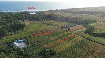 Gambar 3 FREEHOLD LAND 20,8 are - BERABAN, PASUT - TABANAN 