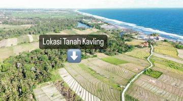 Gambar 3 FREEHOLD LAND KAVLING START 3 ARA AT BERABAN - PASUT, TABANAN 