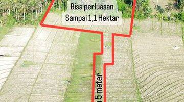 Gambar 1 FREEHOLD LAND KAVLING START 3 ARA AT BERABAN - PASUT, TABANAN 