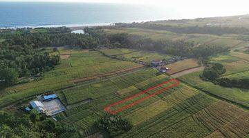 Gambar 5 FREEHOLD LAND 20,8 are - BERABAN, PASUT - TABANAN 