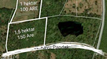 Gambar 2 FOR SALE LAND 2,5Ha - PINGGIR JALAN KAYU PANDAK GESING - BEDUGUL 