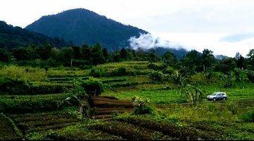 Gambar 4 FOR SALE LAND 2,5Ha - PINGGIR JALAN KAYU PANDAK GESING - BEDUGUL 