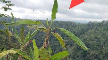 Gambar 5 Dijual Tanah 188 Are View Lembah Pelaga Petang Badung